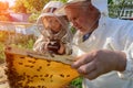 Experienced beekeeper grandfather teaches his grandson caring for bees. Apiculture. The transfer of experience. Royalty Free Stock Photo