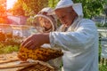 Experienced beekeeper grandfather teaches his grandson caring for bees. Apiculture. The transfer of experience. Royalty Free Stock Photo