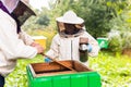 Experienced beekeeper teaches his son caring for bees. Concept of transfer of experience Royalty Free Stock Photo