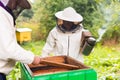 Experienced beekeeper teaches his son caring for bees. Concept of transfer of experience Royalty Free Stock Photo