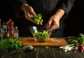 Experienced chef puts parsley on a plate with vegetable salad. Working environment in a hotel kitchen. Delicious food with fresh Royalty Free Stock Photo