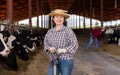 Experienced elderly female breeder in stall of cows on livestock farm