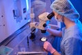 Experienced female researcher checking quality of specimens at lab table