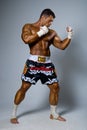 An experienced fighter kickboxer in a fighting stance. Royalty Free Stock Photo