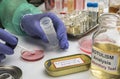 Experienced laboratory scientist analyzing a sample from a canned food can, botulism infection in sick people Royalty Free Stock Photo