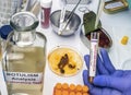 Experienced laboratory scientist analyzing a sample from a canned food can, botulism infection in sick people Royalty Free Stock Photo