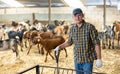 Experienced livestock farm worker standing in goat stall Royalty Free Stock Photo