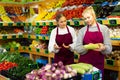 Experienced saleswoman instructing young trainee salesgirl in greengrocery store