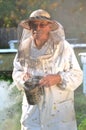 Experienced senior beekeeper making inspection and swarm of bees Royalty Free Stock Photo