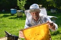 Experienced senior beekeeper working in his apiary Royalty Free Stock Photo