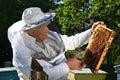 Experienced senior beekeeper working in his apiary Royalty Free Stock Photo