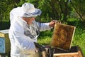 Experienced senior beekeeper working in his apiary Royalty Free Stock Photo