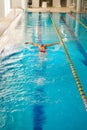 Experienced swimmer is training alone in indoor swimming pool Royalty Free Stock Photo