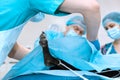 An experienced veterinarian in a mask and gown operates a pet dog in a sterile operating room with an assistant and an