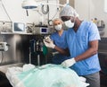 Veterinarians doing operation for dog in a veterinary clinic Royalty Free Stock Photo