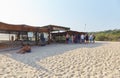 Experiencing a baby turtle release in Puerto Escondido, Oaxaca, Mexico