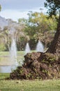 Experiencing Madeira Funchal city park and its fountain in Portugal, an paradise island in the middle of Atlantic ocean Royalty Free Stock Photo