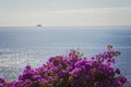 Experiencing Madeira Funchal and its amazing nature in Portugal, an paradise island in the middle of Atlantic ocean Royalty Free Stock Photo
