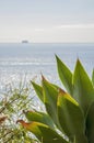 Experiencing Madeira Funchal and its amazing nature in Portugal, an paradise island in the middle of Atlantic ocean Royalty Free Stock Photo