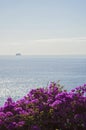 Experiencing Madeira Funchal and its amazing nature in Portugal, an paradise island in the middle of Atlantic ocean Royalty Free Stock Photo