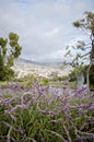 Experiencing Madeira Funchal and its amazing nature in Portugal, an paradise island in the middle of Atlantic ocean Royalty Free Stock Photo