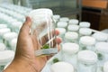 Experiment plant tissue culture Royalty Free Stock Photo