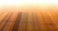 Experimental field with different varieties of corn. Drone view. Royalty Free Stock Photo