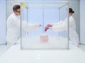 Experimenting with liquid nitrogen in the lab Royalty Free Stock Photo