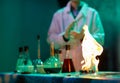 Experiments in a chemistry lab. conducting an experiment in the laboratory Royalty Free Stock Photo