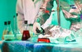 Experiments in a chemistry lab. conducting an experiment in the laboratory Royalty Free Stock Photo