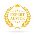 Expert advice vector icon