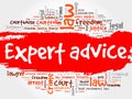 Expert advice word cloud Royalty Free Stock Photo