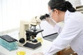 An expert Asian aged female scientist examining a virus specimen under a microscope Royalty Free Stock Photo