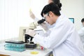 An expert Asian male scientist examining a virus specimen under a microscope in the lab Royalty Free Stock Photo