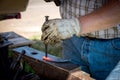 Expert Blacksmith forms steel into a form