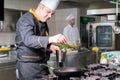 Expert chef in kitchen prepairing delicious meal