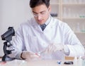 Expert criminologist working in the lab for evidence Royalty Free Stock Photo