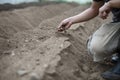 Farmer checking soil quality in greenhouse Royalty Free Stock Photo