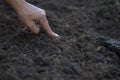 Expert farmer testing soil for planting vegetable Royalty Free Stock Photo