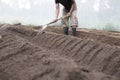 Expert farmer using a shovel ridging soil Royalty Free Stock Photo