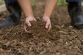 Expert hand of farmer checking soil health