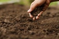 Expert hand of farmer checking soil health