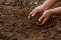 Expert farmer mix soil for grow vegetable garden