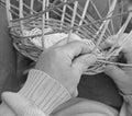 Expert hands of the elderly craftsman creates a wicker basket