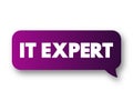 IT Expert - identifies issues with hardware or software and works with users or on the back end of servers to quickly resolve Royalty Free Stock Photo