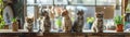 Expert-led feline health workshop, understand feline behavior, instructional theme, dynamic, Double exposure, Classroom backdrop