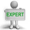 Expert Sign Showing Skills Proficiency And Capabilities Royalty Free Stock Photo