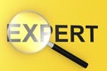 Expert word with magnifying glass Royalty Free Stock Photo