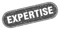 expertise sign. expertise grunge stamp.