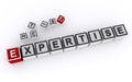 expertise word block on white